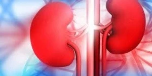 Chronic Kidney Disease CKD