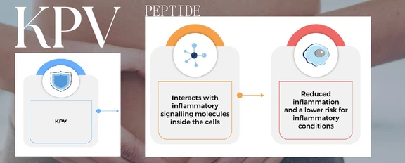 What Are The Benefits Of KPV What Are The Benefits Of KPV