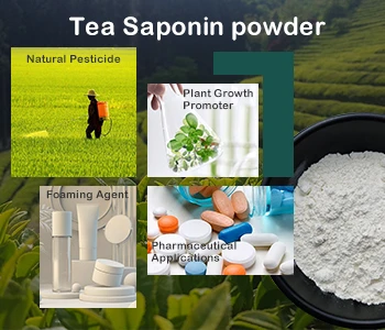 Teesupi pinnal olev mull – teesaponiin
