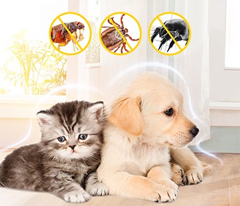 Kuidas lemmikloomadele suvel ussitõrjet teha?