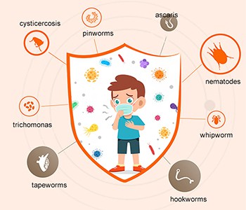 Kuidas hinnata, kas kehas on parasiite