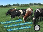 Parasiiditõrje uued edusammud: revolutsioon kariloomade ja lemmikloomade hool...