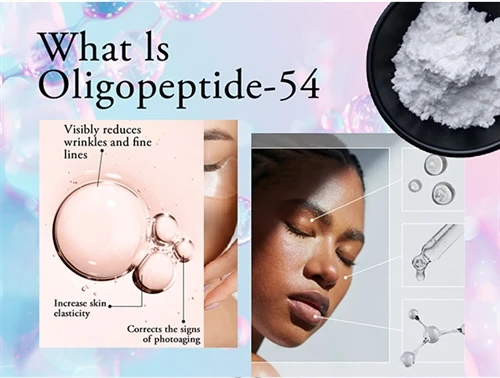 Kuidas biomimeetilised peptiidid sihivad apoptoosi vananemisvastastes uuringutes