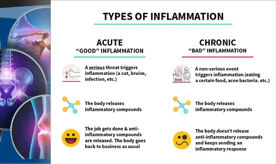 47SR-9009 powderBjpg 47SR-9009 powderBjpg