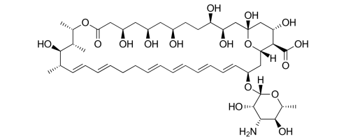 Nystatin structure Nystatin structure